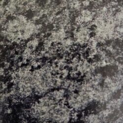 Olive Green Olive Green