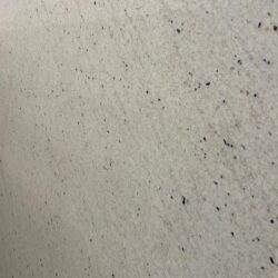 Super White Super White